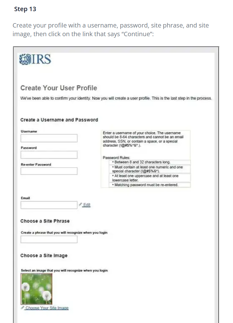 IRS user profile setup screen
